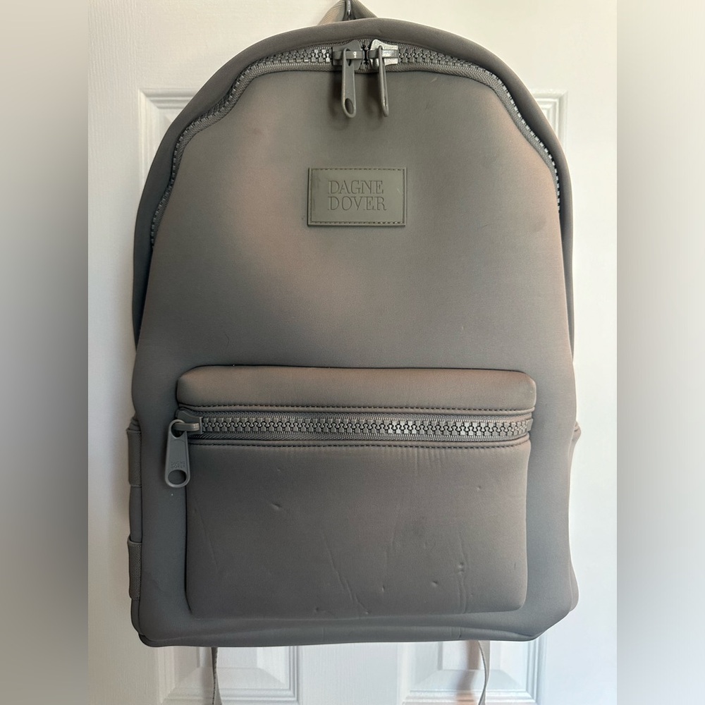 Dagne Dover Gray Backpack